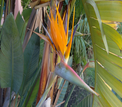 servicios comunidades el runar